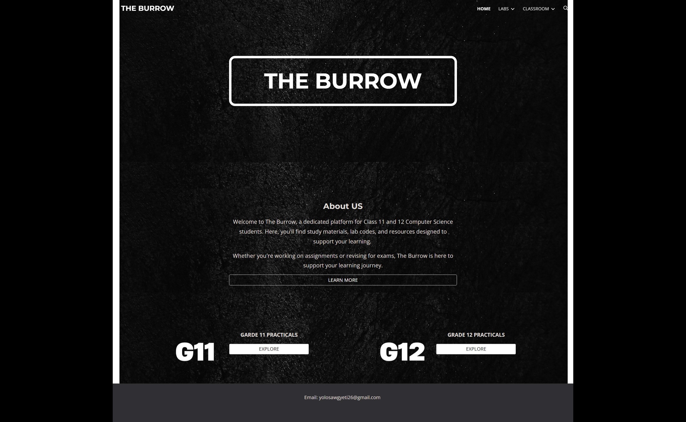 The Burrow project image