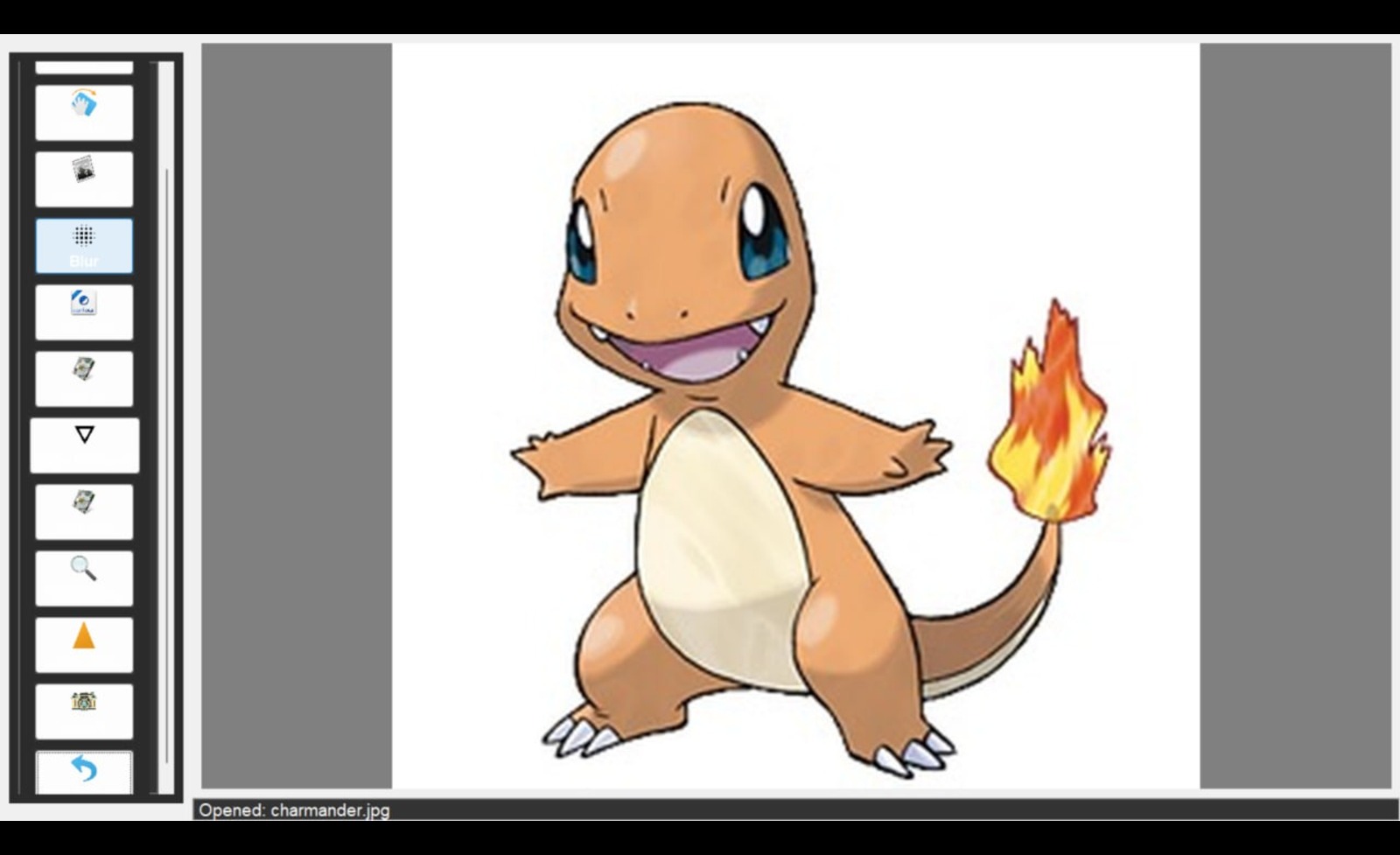 Image Editor project preview
